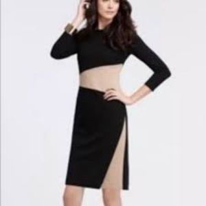 Ann Taylor 3/4-Sleeve Sheath Dress (10P)